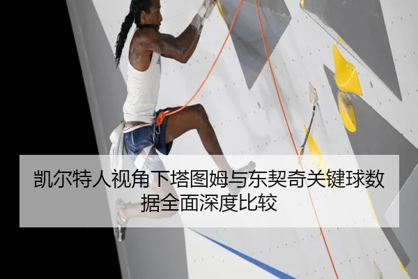 凯尔特人视角下塔图姆与东契奇关键球数据全面深度比较