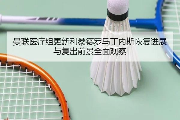 曼联医疗组更新利桑德罗马丁内斯恢复进展与复出前景全面观察